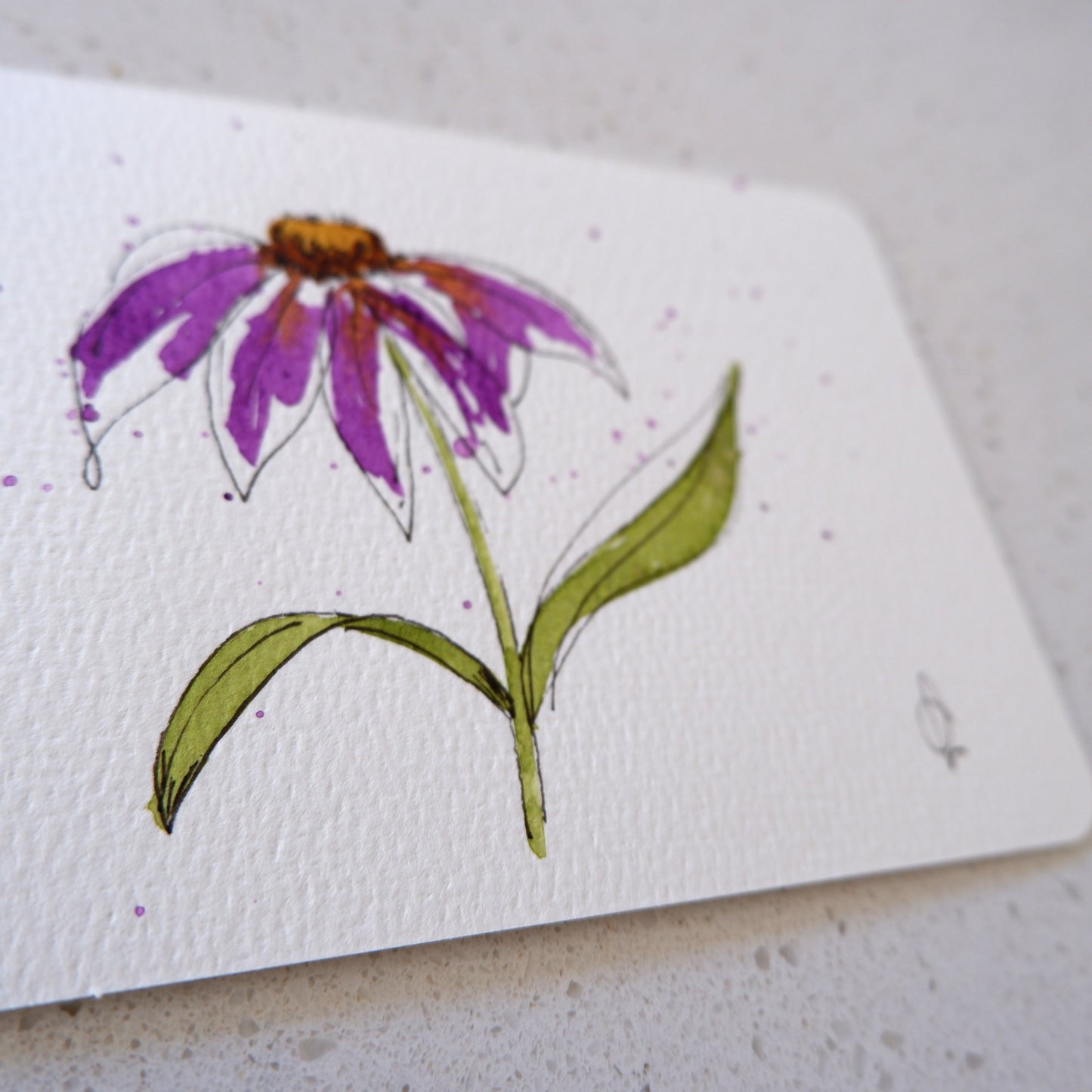 Trio Postcard